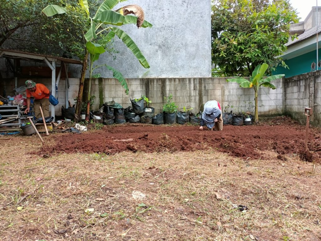 kebun
