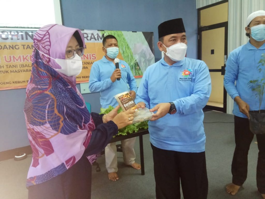 Bidang Tani dan Nelayan