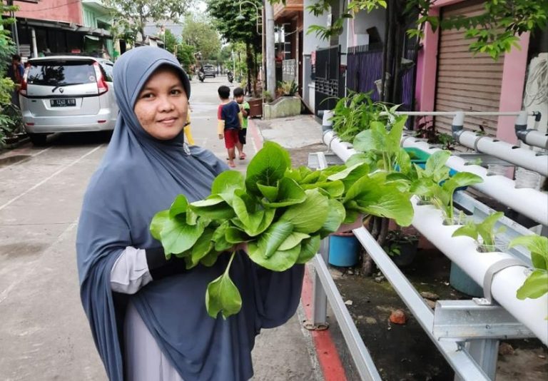 PKS Teluk Pucung Hadirkan Pelatihan Hidroponik untuk Warga RT.15