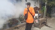 Fogging