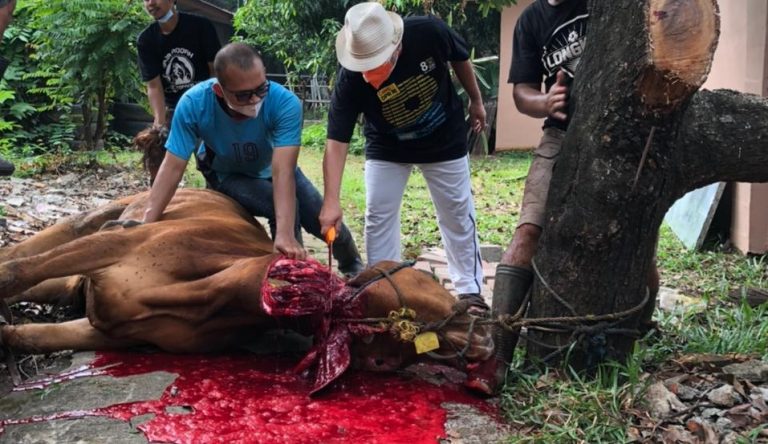 37.200 Paket Kurban Tersalurkan, Bang HK: Terus Layani Masyarakat Kota Bekasi meski Pandemi