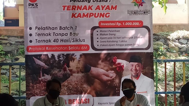 Ternak Ayam