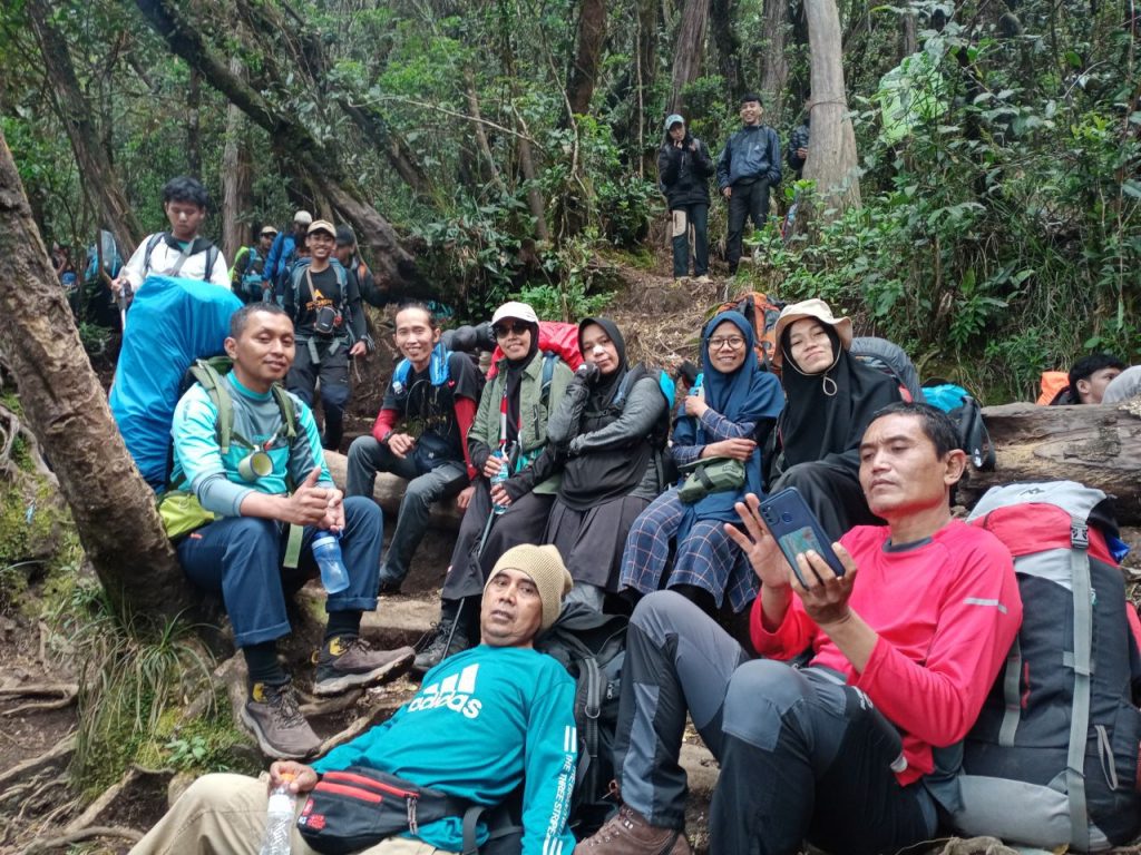 Jelajah Rimba
