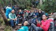 Jelajah Rimba