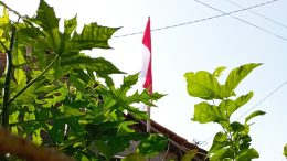 Bendera