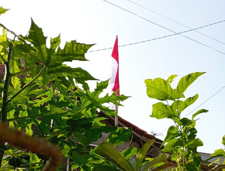 Benderaku Tak Mau Berkibar