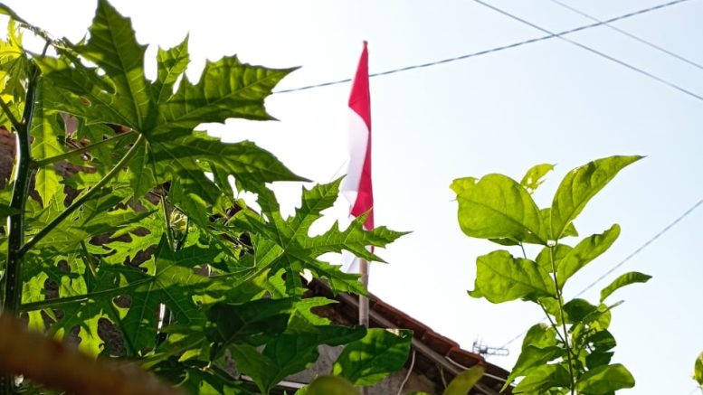 Bendera