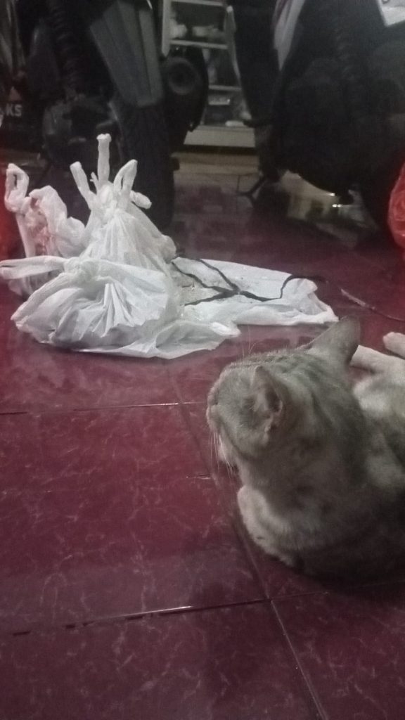Kurban