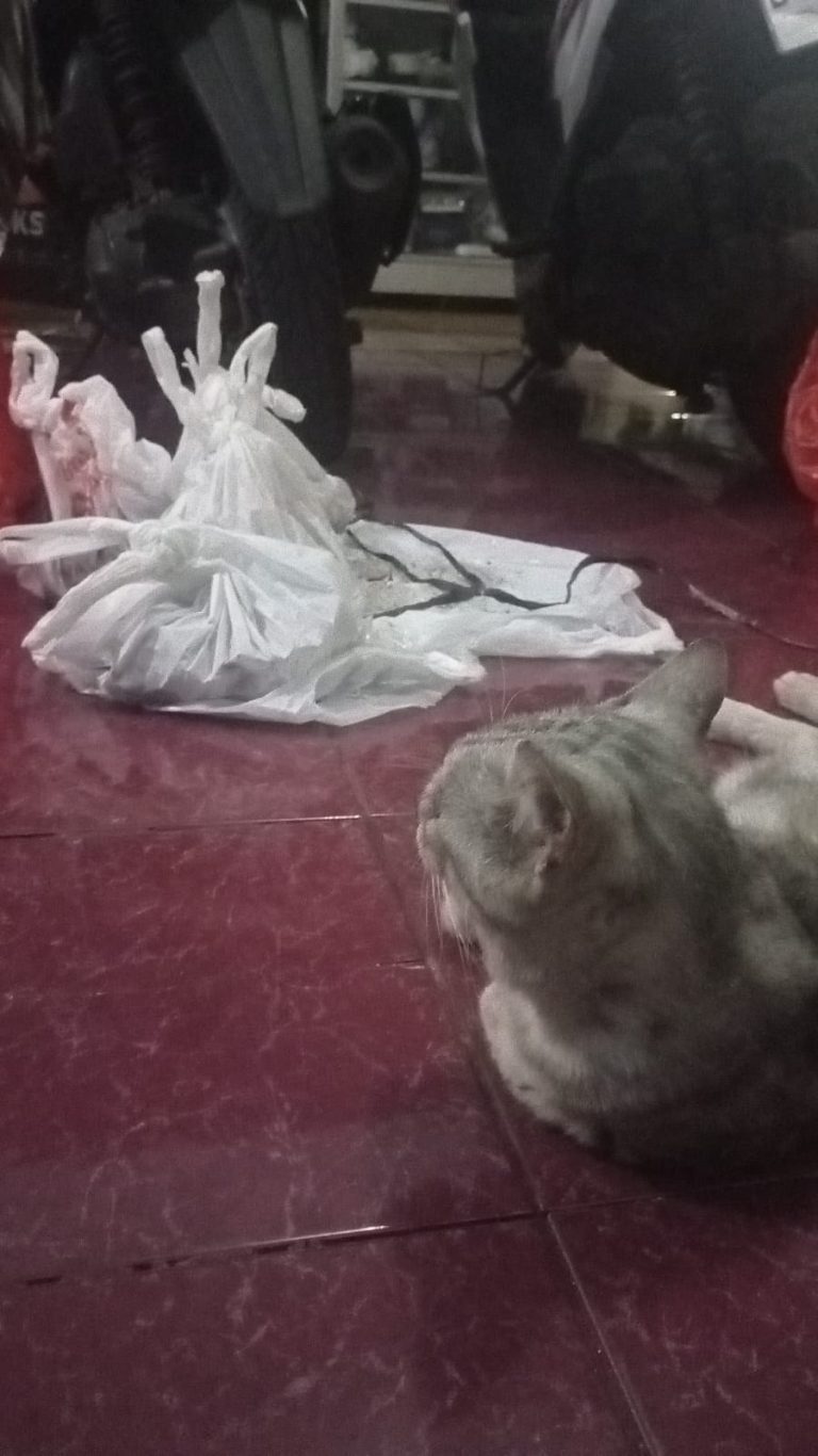 Berkorban Untuk Daging Kurban